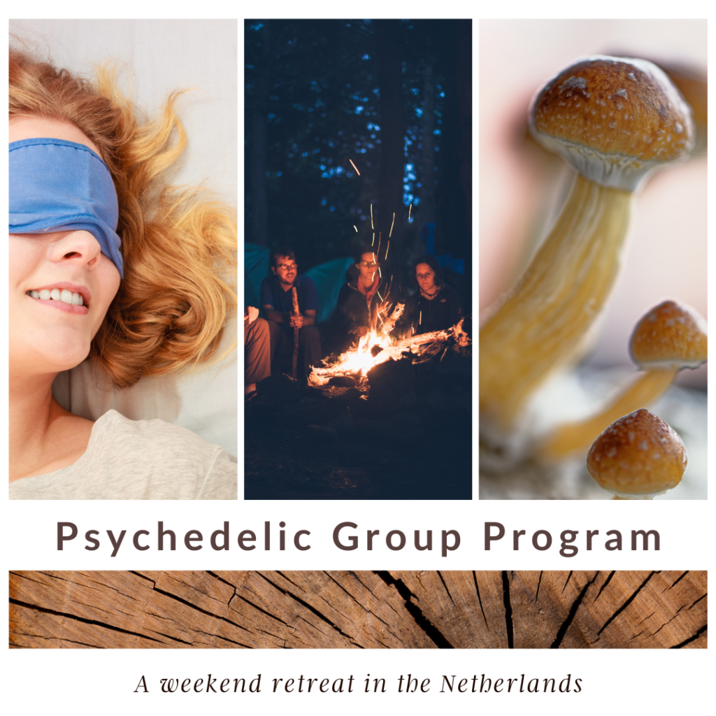 The programs featured image